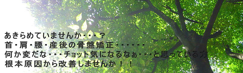 千葉カイロプラクティック整体院